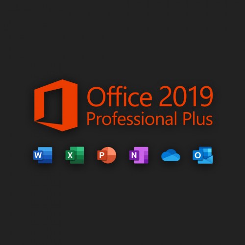 OFFICE 2019 PROFESSIONAL LOGO-100